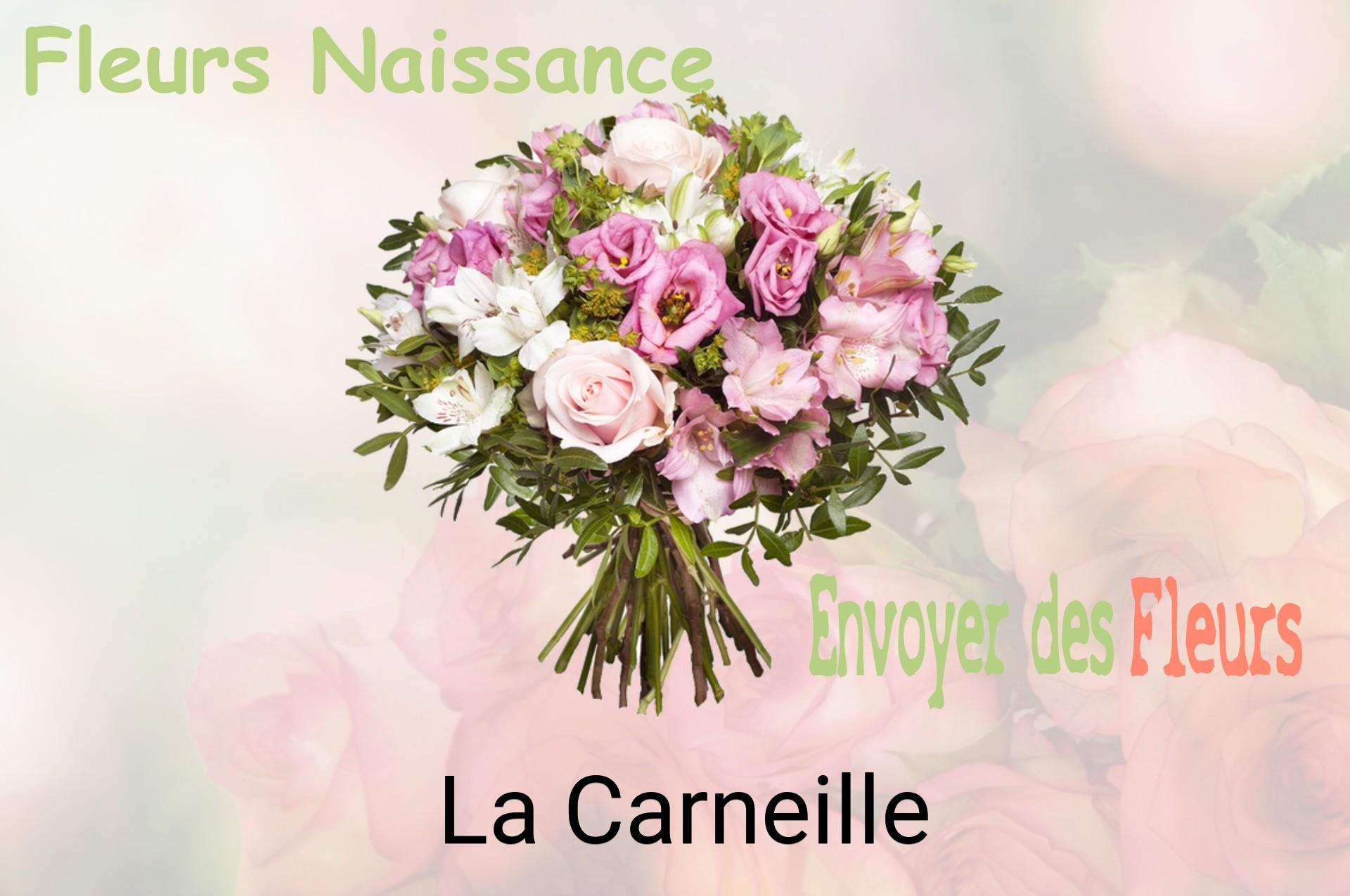 Bouquet de fleurs de naissance livré à La Carneille